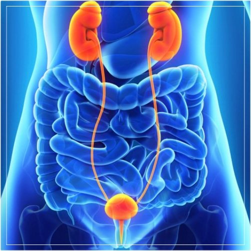 Uro-Oncology